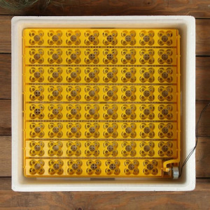 Инкубатор бытовой, на 63 яйца, автоматический переворот, 220 В, с кормушкой, поилкой, овоскопом, NIKA Инкубатор бытовой, на 63 яйца, автоматический переворот, 220 В, с кормушкой, поилкой, овоскопом, NIKA