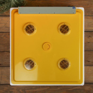 Инкубатор бытовой, на 63 яйца, автоматический переворот, 220 В, с кормушкой, поилкой, овоскопом, NIKA Инкубатор бытовой, на 63 яйца, автоматический переворот, 220 В, с кормушкой, поилкой, овоскопом, NIKA