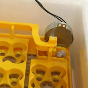 Инкубатор бытовой, на 63 яйца, автоматический переворот, 220 В, с кормушкой, поилкой, овоскопом, NIKA Инкубатор бытовой, на 63 яйца, автоматический переворот, 220 В, с кормушкой, поилкой, овоскопом, NIKA