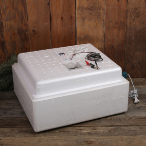 Инкубатор бытовой, на 63 яйца, автоматический переворот, цифровой термометр, 220 В/12 B Инкубатор бытовой, на 63 яйца, автоматический переворот, цифровой термометр, 220 В/12 B