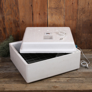 Инкубатор бытовой, на 63 яйца, автоматический переворот, цифровой термометр, 220 В Инкубатор бытовой, на 63 яйца, автоматический переворот, цифровой термометр, 220 В