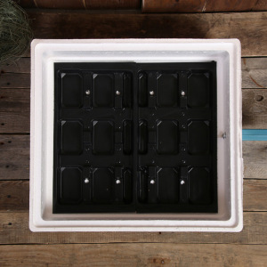 Инкубатор бытовой, на 63 яйца, автоматический переворот, цифровой термометр, 220 В Инкубатор бытовой, на 63 яйца, автоматический переворот, цифровой термометр, 220 В