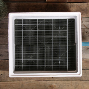 Инкубатор бытовой, на 63 яйца, автоматический переворот, цифровой термометр, 220 В Инкубатор бытовой, на 63 яйца, автоматический переворот, цифровой термометр, 220 В