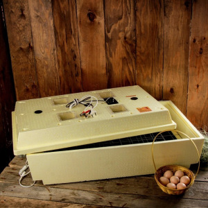 Инкубатор бытовой «Золушка», на 98 яиц, автоматический переворот, 220 В/12 В Инкубатор бытовой «Золушка», на 98 яиц, автоматический переворот, 220 В/12 В