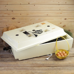 Инкубатор бытовой «Золушка», на 98 яиц, автоматический переворот, 220 В Инкубатор бытовой «Золушка», на 98 яиц, автоматический переворот, 220 В