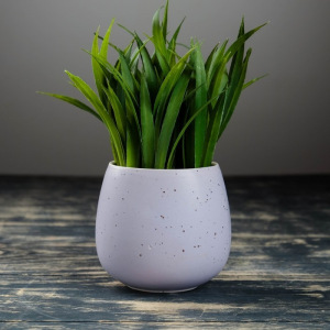 Кашпо керамическое "Круглое" 8*8*8 см.МИКС Кашпо керамическое "Круглое" 8*8*8 см.МИКС