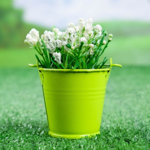 Кашпо "Ведерко" 6*5,5*5,5 см зеленое Кашпо "Ведерко" 6*5,5*5,5 см зеленое