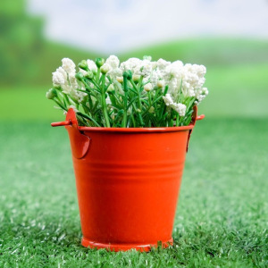 Кашпо "Ведерко" 6*6*6 см красное Кашпо "Ведерко" 6*6*6 см красное