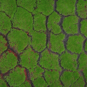 Мох искусственный, декоративный, полотно 1 × 1 м, рельефный, камни, зелёный на чёрном Мох искусственный, декоративный, полотно 1 × 1 м, рельефный, камни, зелёный на чёрном