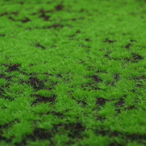 Мох искусственный, декоративный, полотно 1 × 1 м, зелёный на чёрном Мох искусственный, декоративный, полотно 1 × 1 м, зелёный на чёрном