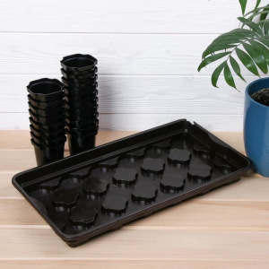 Набор для рассады: стаканы по 200 мл (18 шт.), поддон 42 × 23 Набор для рассады: стаканы по 200 мл (18 шт.), поддон 42 × 23