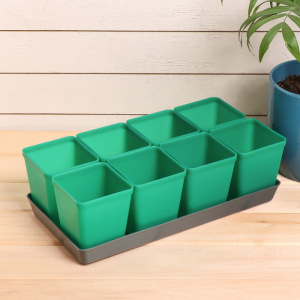 Набор для рассады: стаканы по 600 мл (8 шт.), поддон, цвет МИКС, Greengo Набор для рассады: стаканы по 600 мл (8 шт.), поддон, цвет МИКС, Greengo