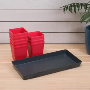 Набор для рассады: стаканы по 600 мл (8 шт.), поддон, цвет МИКС, Greengo Набор для рассады: стаканы по 600 мл (8 шт.), поддон, цвет МИКС, Greengo