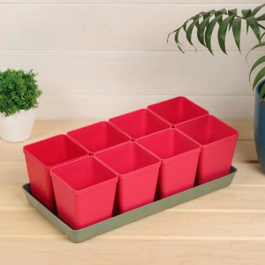 Набор для рассады: стаканы по 600 мл (8 шт.), поддон, цвет МИКС, Greengo Набор для рассады: стаканы по 600 мл (8 шт.), поддон, цвет МИКС, Greengo