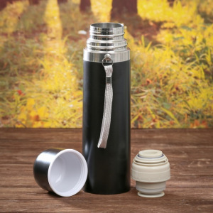 Набор «Характер и сила», термос 500 мл, кружка 2 шт Набор «Характер и сила», термос 500 мл, кружка 2 шт