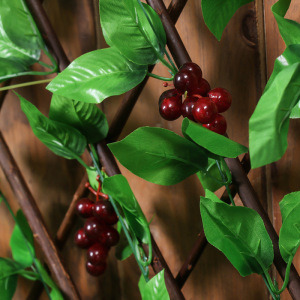 Ограждение декоративное, 200 × 75 см, «Виноград», Greengo Ограждение декоративное, 200 × 75 см, «Виноград», Greengo