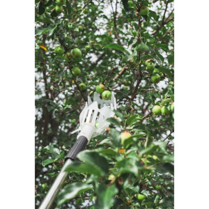 Плодосъёмник, с телескопический черенком, 158 - 250 см Плодосъёмник, с телескопический черенком, 158 - 250 см