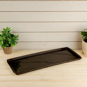 Поддон для рассады, 50 × 20,5 × 1,5 см, цвет МИКС Поддон для рассады, 50 × 20,5 × 1,5 см, цвет МИКС