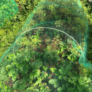 Сетка-навес на грядку, 5 м, 4 дуги, стеклопластик Сетка-навес на грядку, 5 м, 4 дуги, стеклопластик