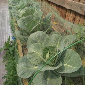 Сетка-навес на грядку, 5 м, 4 дуги, стеклопластик Сетка-навес на грядку, 5 м, 4 дуги, стеклопластик