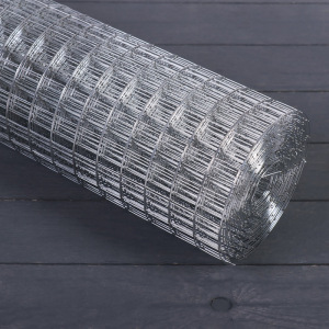 Сетка оцинкованная, сварная 0,5 × 10 м, ячейка 25 × 25 мм, d = 1 мм, металл Сетка оцинкованная, сварная 0,5 × 10 м, ячейка 25 × 25 мм, d = 1 мм, металл