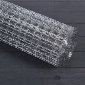 Сетка оцинкованная, сварная, 1 × 10 м, ячейка 25 × 25 мм, d = 1 мм, металл Сетка оцинкованная, сварная, 1 × 10 м, ячейка 25 × 25 мм, d = 1 мм, металл