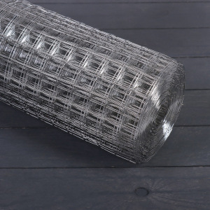 Сетка оцинкованная, сварная, 1,2 × 10 м, ячейка 25 × 25 мм, d = 1 мм, металл Сетка оцинкованная, сварная, 1,2 × 10 м, ячейка 25 × 25 мм, d = 1 мм, металл