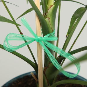 Шпагат для подвязки растений, 50 м, полипропилен, зелёный, Greengo Шпагат для подвязки растений, 50 м, полипропилен, зелёный, Greengo