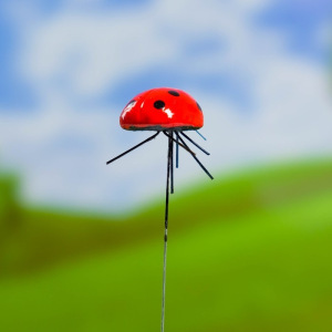 Штекер декоративный для комнатных растений "Божья коровка" 2х2,5см, 22см Штекер декоративный для комнатных растений "Божья коровка" 2х2,5см, 22см
