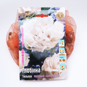 Тюльпан "Глобина" 45см, р/р 10/11, сетка 50 шт Тюльпан "Глобина" 45см, р/р 10/11, сетка 50 шт