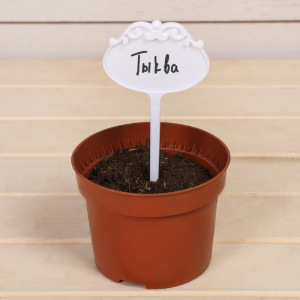 Ярлыки садовые для маркировки, фигурные, 15 см, набор 10 шт., пластик, белые, Greengo Ярлыки садовые для маркировки, фигурные, 15 см, набор 10 шт., пластик, белые, Greengo