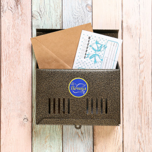 Ящик почтовый без замка (с петлёй), горизонтальный «Мини», бронзовый Ящик почтовый без замка (с петлёй), горизонтальный «Мини», бронзовый