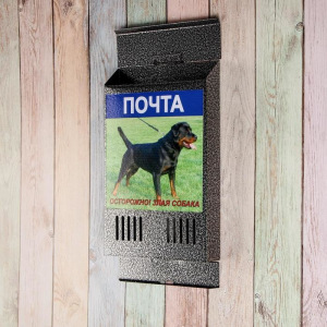 Ящик почтовый без замка (с петлёй), вертикальный, «Фото», МИКС, серебристый Ящик почтовый без замка (с петлёй), вертикальный, «Фото», МИКС, серебристый