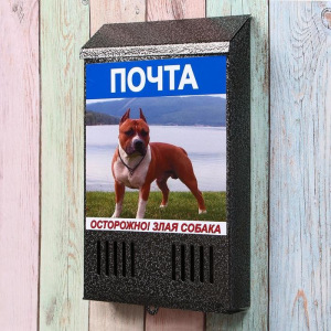 Ящик почтовый без замка (с петлёй), вертикальный, «Фото», МИКС, серебристый Ящик почтовый без замка (с петлёй), вертикальный, «Фото», МИКС, серебристый