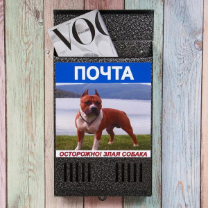 Ящик почтовый без замка (с петлёй), вертикальный, «Фото», МИКС, серебристый Ящик почтовый без замка (с петлёй), вертикальный, «Фото», МИКС, серебристый