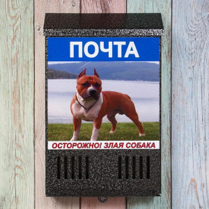 Ящик почтовый без замка (с петлёй), вертикальный, «Фото», МИКС, серебристый Ящик почтовый без замка (с петлёй), вертикальный, «Фото», МИКС, серебристый