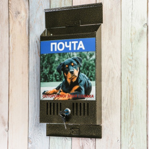 Ящик почтовый с замком, вертикальный, «Фото», МИКС, бронза Ящик почтовый с замком, вертикальный, «Фото», МИКС, бронза