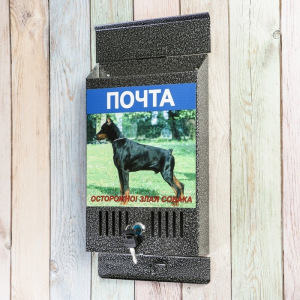 Ящик почтовый с замком, вертикальный, «Фото», МИКС, серебристый Ящик почтовый с замком, вертикальный, «Фото», МИКС, серебристый