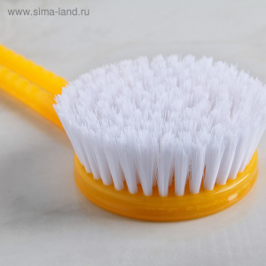 Набор банный, 2 предмета: мочалка, щётка банная, цвет МИКС Набор банный, 2 предмета: мочалка, щётка банная, цвет МИКС