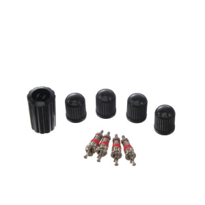 Манометр механический A2DM, набор золотников с колпачками и экстрактор, кейс Манометр механический A2DM, набор золотников с колпачками и экстрактор, кейс