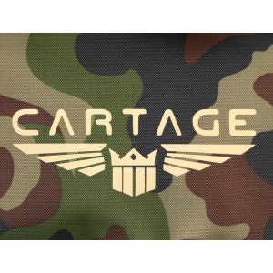 Термосумка Cartage Т-13, зеленый камуфляж, 10 литров, 26х19х19 см Термосумка Cartage Т-13, зеленый камуфляж, 10 литров, 26х19х19 см