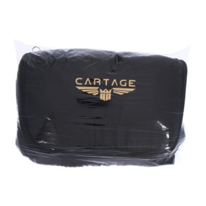 Термосумка Cartage Т-14, черная, 10 литров, 26х19х19 см Термосумка Cartage Т-14, черная, 10 литров, 26х19х19 см