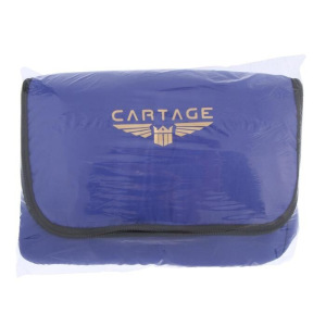 Термосумка Cartage Т-16, синяя, 10 литров, 26х19х19 см Термосумка Cartage Т-16, синяя, 10 литров, 26х19х19 см