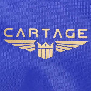 Термосумка Cartage Т-16, синяя, 10 литров, 26х19х19 см Термосумка Cartage Т-16, синяя, 10 литров, 26х19х19 см