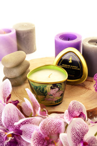 Массажное аромамасло Shunga Zenitude с ароматом зелёного чая, 170 мл Массажное аромамасло Shunga Zenitude с ароматом зелёного чая, 170 мл