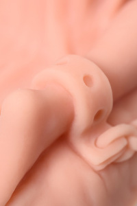 Мастурбатор реалистичный KOKOS ISABEL, TPR, телесный, 26 см Мастурбатор реалистичный KOKOS ISABEL, TPR, телесный, 26 см