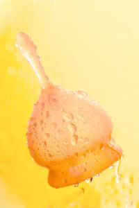 Менструальная чаша Satisfyer Feel Good, 2 шт в наборе, Силикон, Оранжевый Менструальная чаша Satisfyer Feel Good, 2 шт в наборе, Силикон, Оранжевый