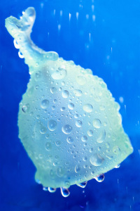 Менструальная чаша Satisfyer Feel Secure, 2 шт в наборе, Силикон, Зеленый Менструальная чаша Satisfyer Feel Secure, 2 шт в наборе, Силикон, Зеленый