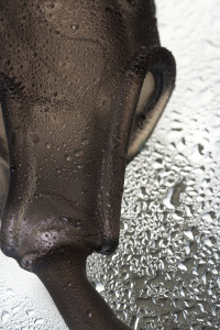 Насадка ToyFa XLover, для увеличения размера с дополнительной стимуляцией,TPE, черный прозрачный, 15 Насадка ToyFa XLover, для увеличения размера с дополнительной стимуляцией,TPE, черный прозрачный, 15