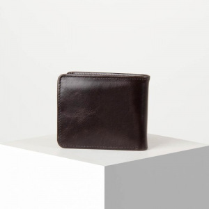 Портмоне мужское, 2 отдела, для карт с защитой от сканирования, цвет коричневый Портмоне мужское, 2 отдела, для карт с защитой от сканирования, цвет коричневый